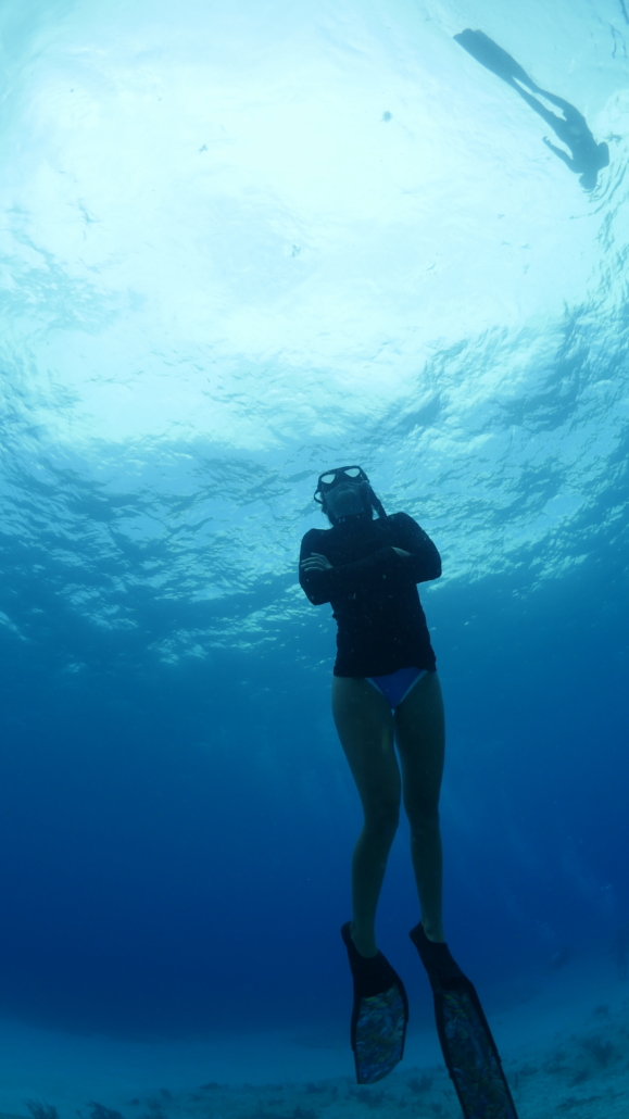 Read more about the article 10 Meters Down: Inside the Uncharted Waters of the PFI Basic Freediver Course